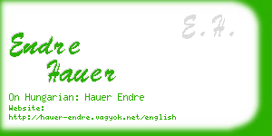 endre hauer business card